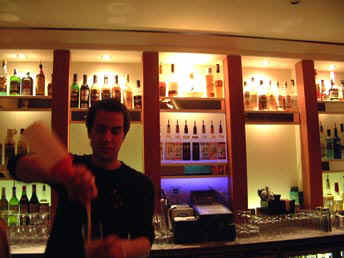 meadowbar.jpg (42720 bytes)