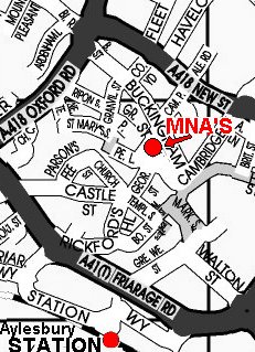 mnas-map.jpg (36330 bytes)